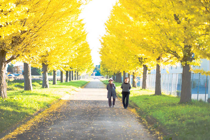 カエル中尉さんのリフレッシュ・スパ クォード (ホテル クォードインyokote)のサ活写真