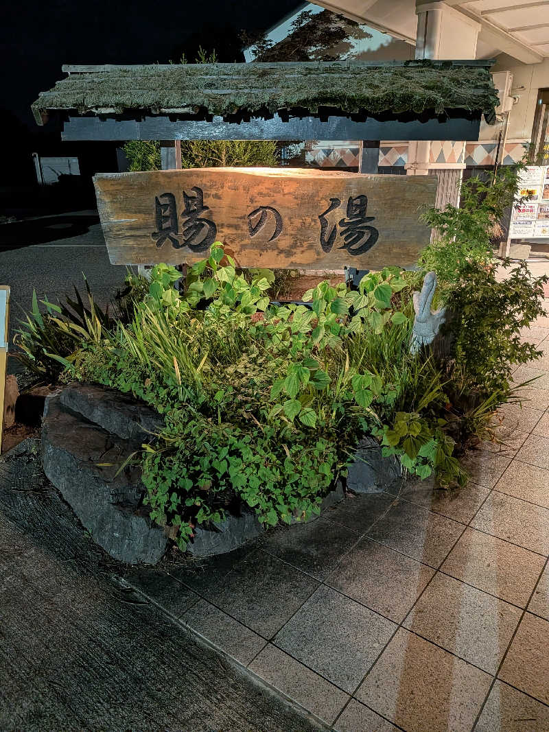 サウナ太郎さんのおいたま温泉 賜の湯のサ活写真