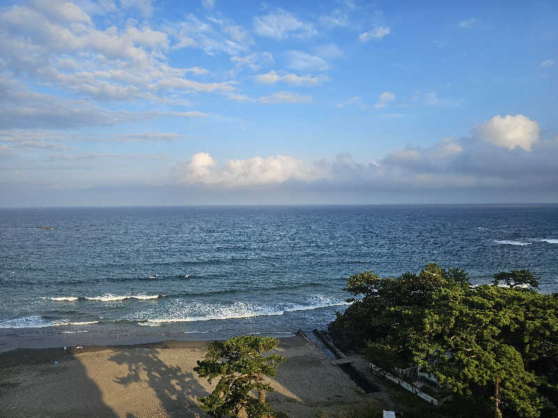 さえさんの伊豆 今井浜温泉 今井荘のサ活写真