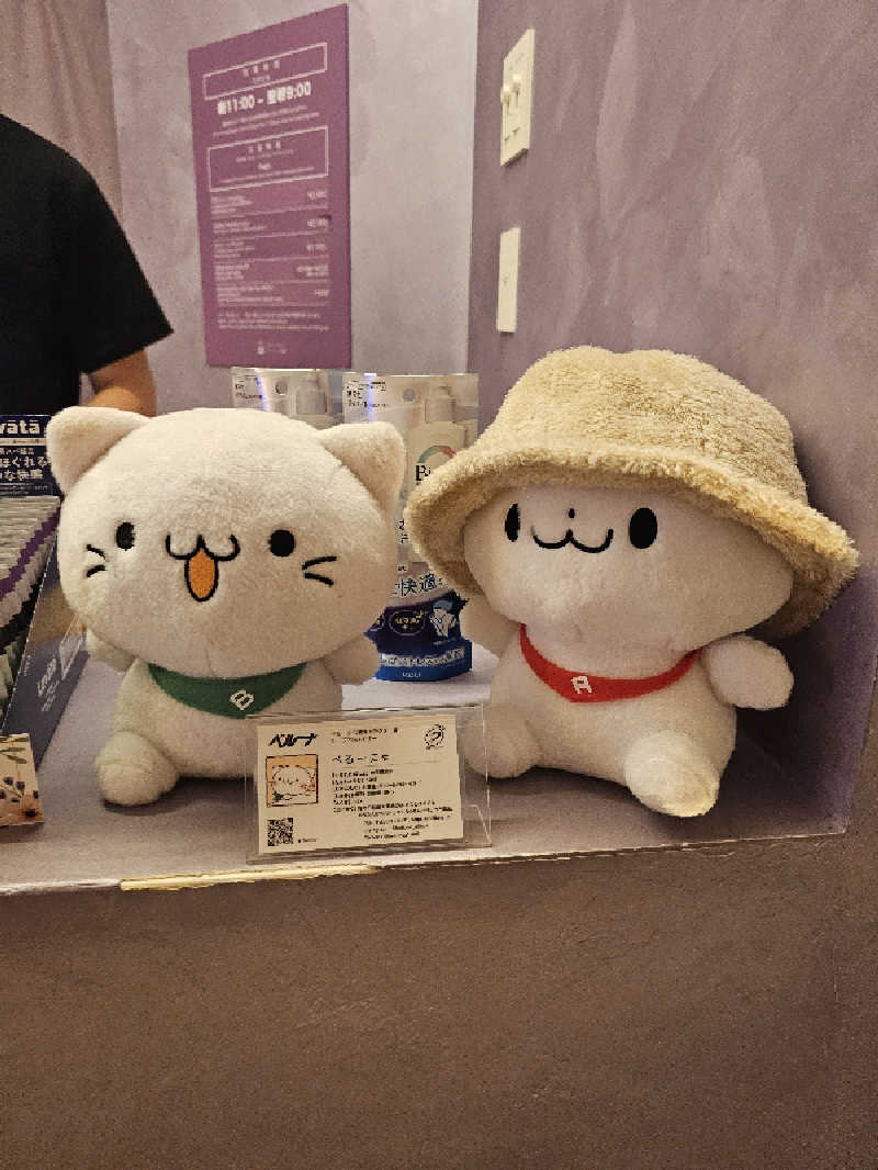さえさんのSPA&SAUNA コリドーの湯のサ活写真