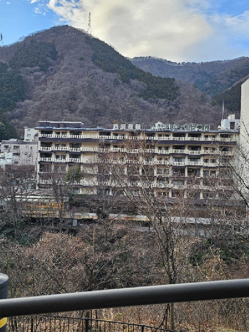 さえさんの鬼怒川温泉ホテルのサ活写真