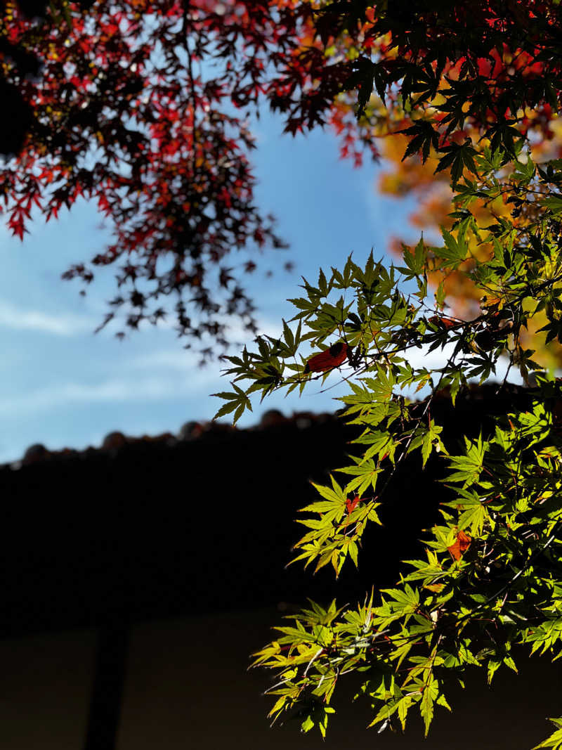 ろっかまーんさんの前橋荻窪温泉 あいのやまの湯のサ活写真