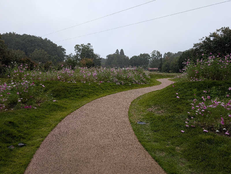 笠置山さんの里山の湯のサ活写真