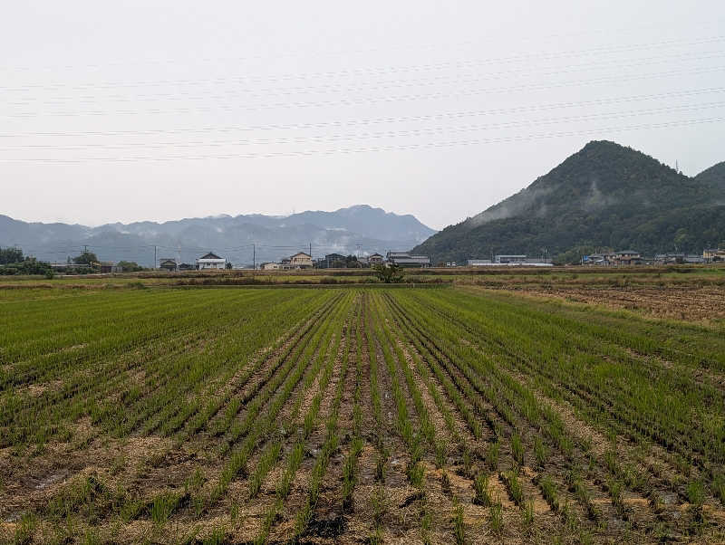 笠置山さんの天然温泉 三峰のサ活写真