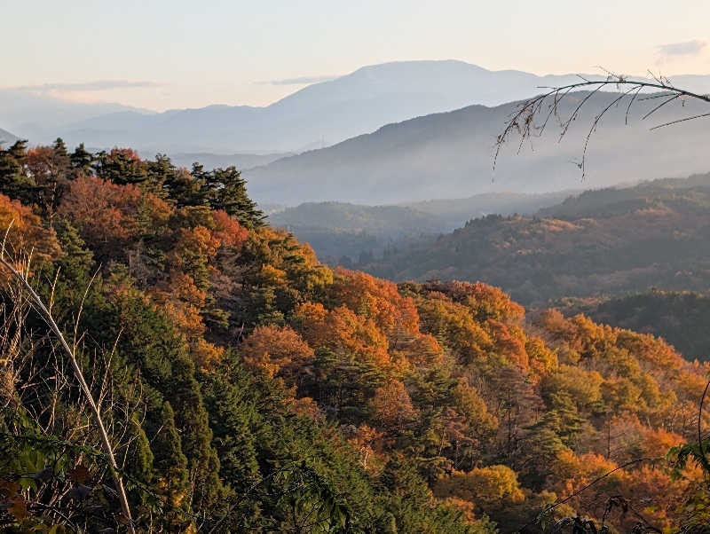 笠置山さんの天光の湯のサ活写真