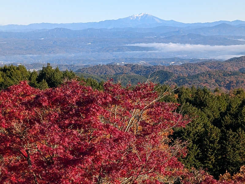 笠置山さんの土岐 よりみち温泉のサ活写真