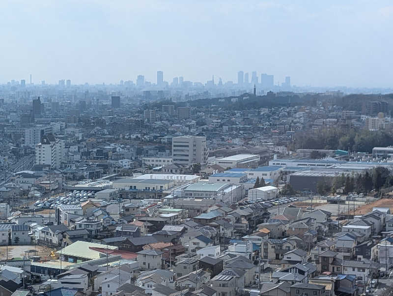 笠置山さんの天空SPA HILLS 竜泉寺の湯 名古屋守山本店のサ活写真