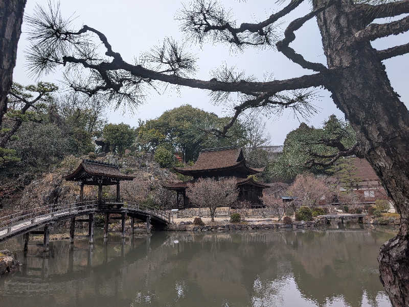 笠置山さんのぽかぽか温泉 新守山乃湯のサ活写真