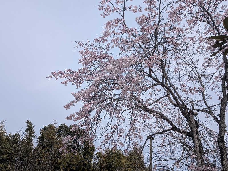 笠置山さんのぽかぽか温泉 新守山乃湯のサ活写真