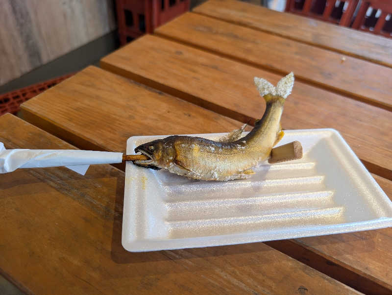 笠置山さんの岐阜各務原 恵みの湯のサ活写真