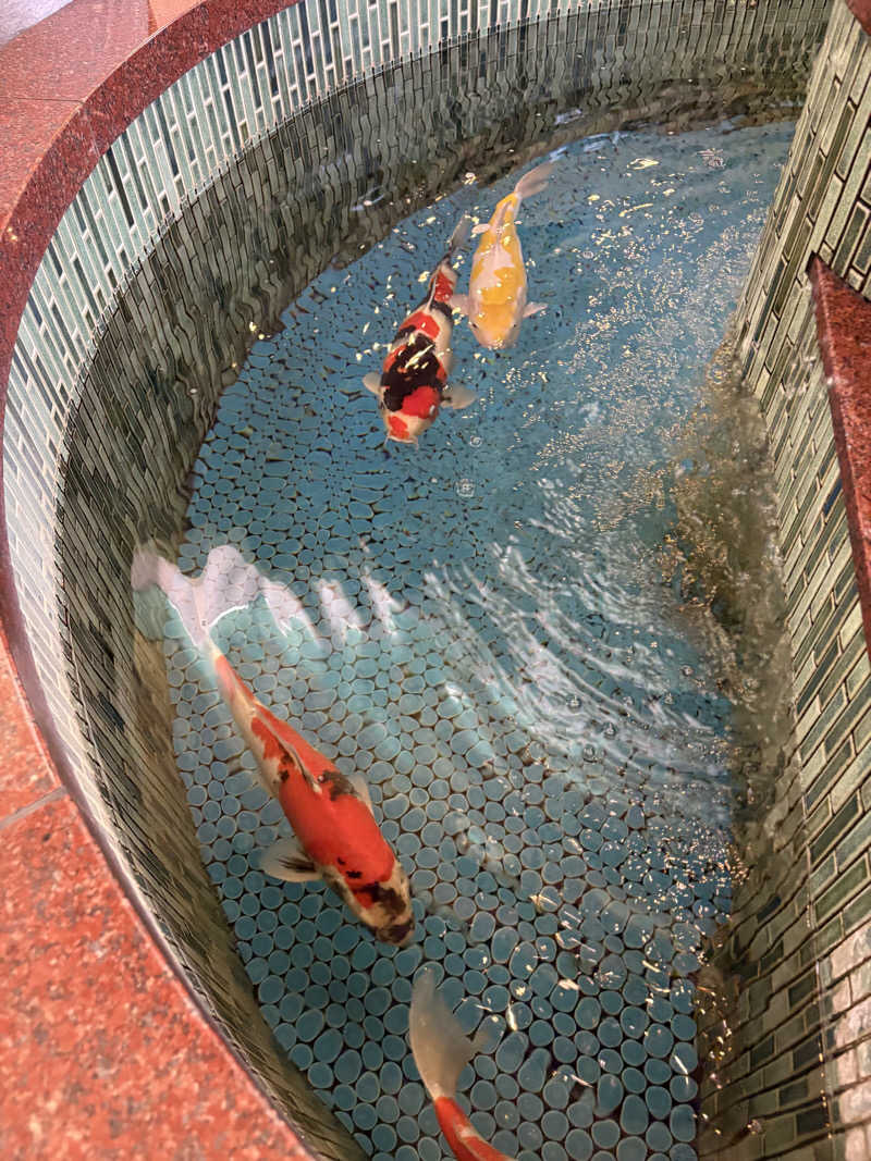 あらいさんの夢の公衆浴場 五色のサ活写真