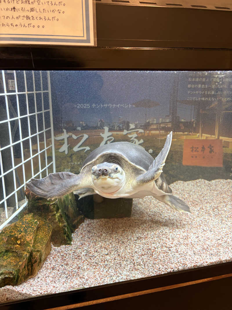 鉄馬ライダーさんの松本湯のサ活写真