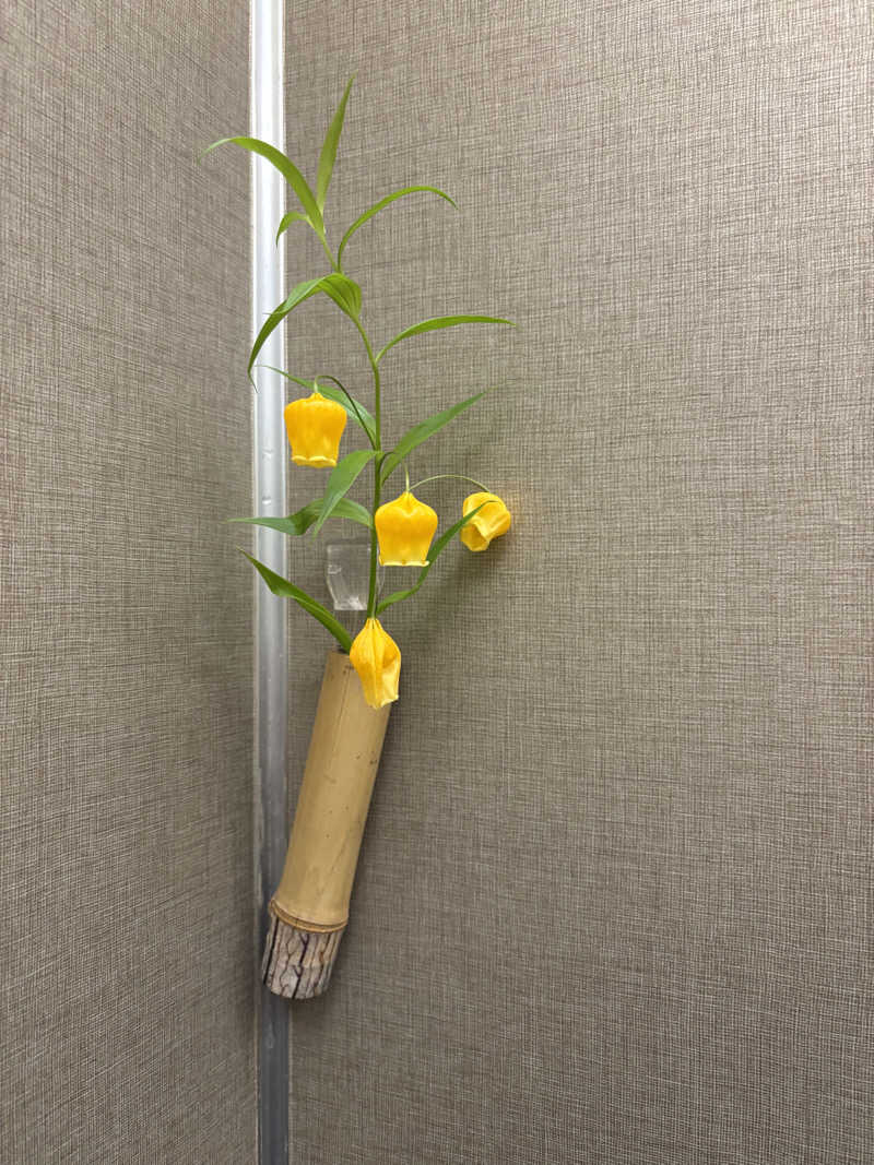 前ストロさんのぬくもりの宿 ふる川のサ活写真