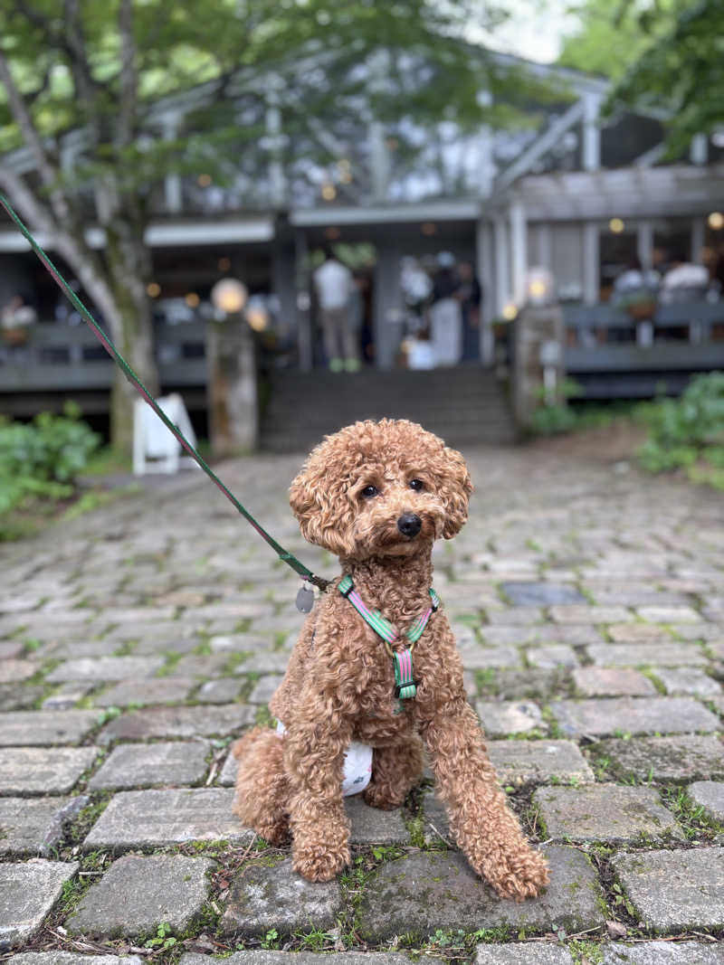 Shunさんの富士山の見える全室個室サウナ付旅館 しずくのサ活写真