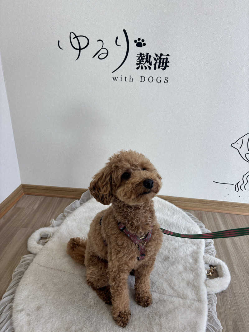 Shunさんのゆるり熱海withDOGSのサ活写真