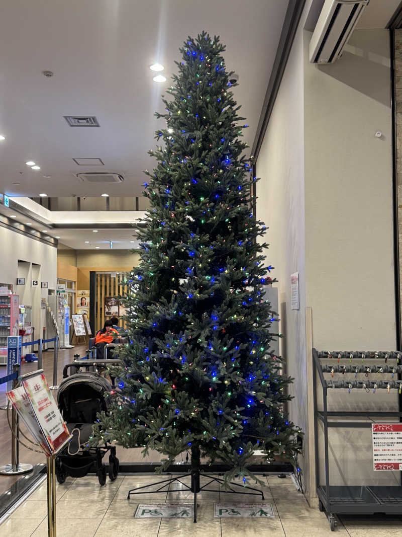 まぁちぇる 麗心愚さんの天然温泉 なにわの湯のサ活写真
