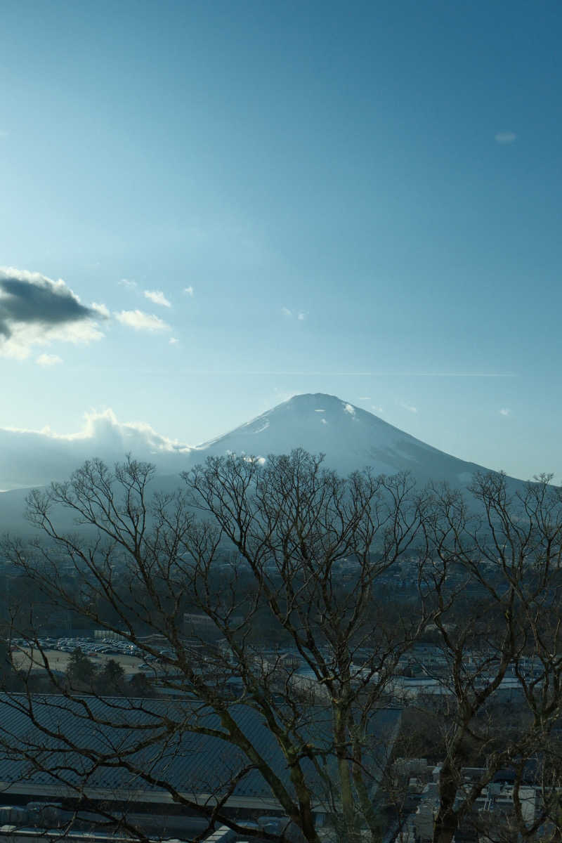 M I S A T O 🌻さんの木の花の湯(HOTEL CLAD)のサ活写真