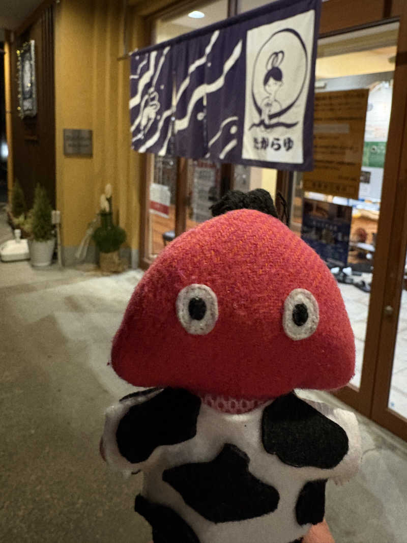 り🈂️りんさんの天然温泉 たからゆ -中野若宮温泉-のサ活写真