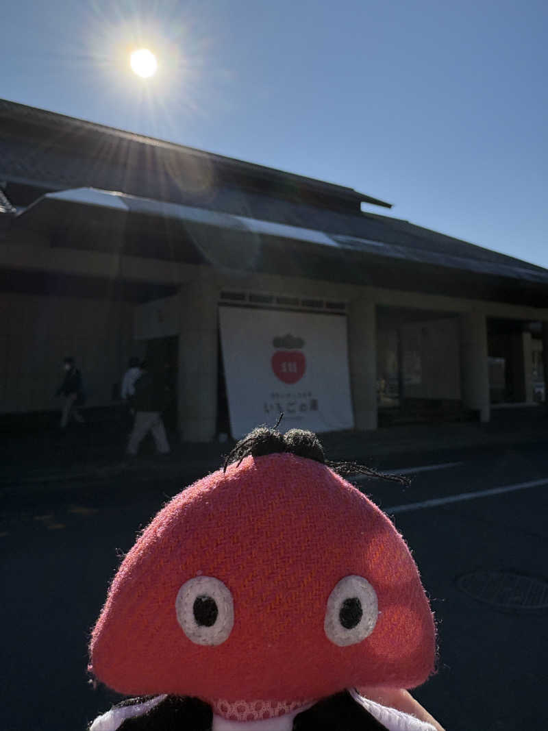 り🈂️りんさんの真岡いがしら温泉 おふろcafe  いちごの湯のサ活写真