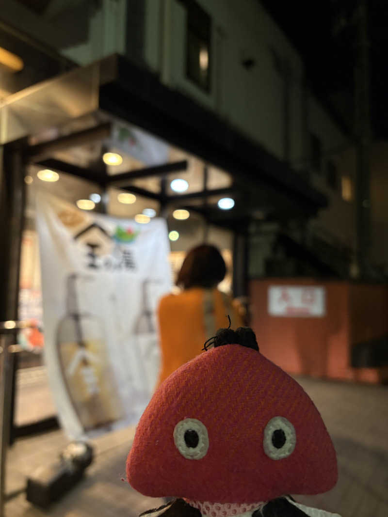り🈂️りんさんの湯乃泉 草加健康センターのサ活写真