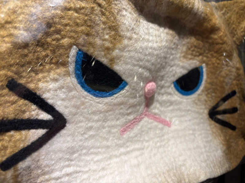 ふぁうんてんさんのタイムズ スパ・レスタのサ活写真
