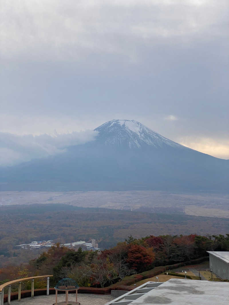 脳ミソからヨダレさんのホテルマウント富士のサ活写真