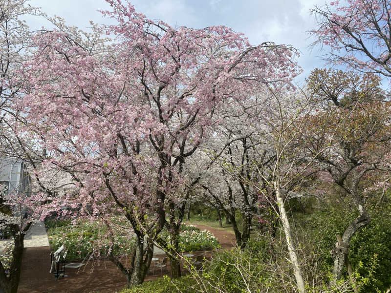 脳ミソからヨダレさんのよみうりランド眺望温泉 花景の湯のサ活写真