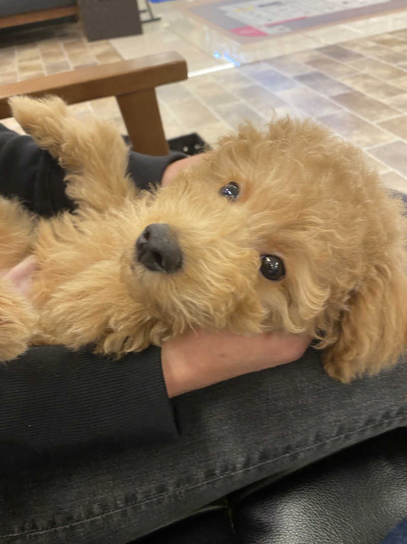 脳ミソからヨダレさんのよみうりランド眺望温泉 花景の湯のサ活写真