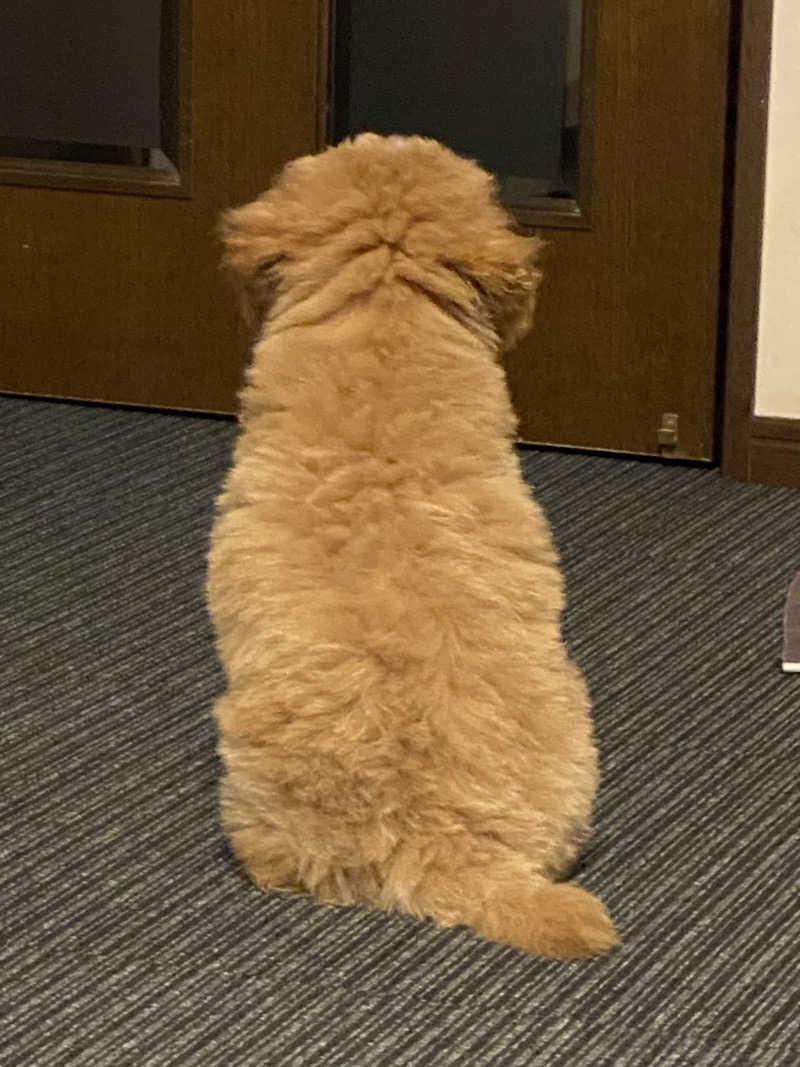 脳ミソからヨダレさんの天然温泉 平和島のサ活写真