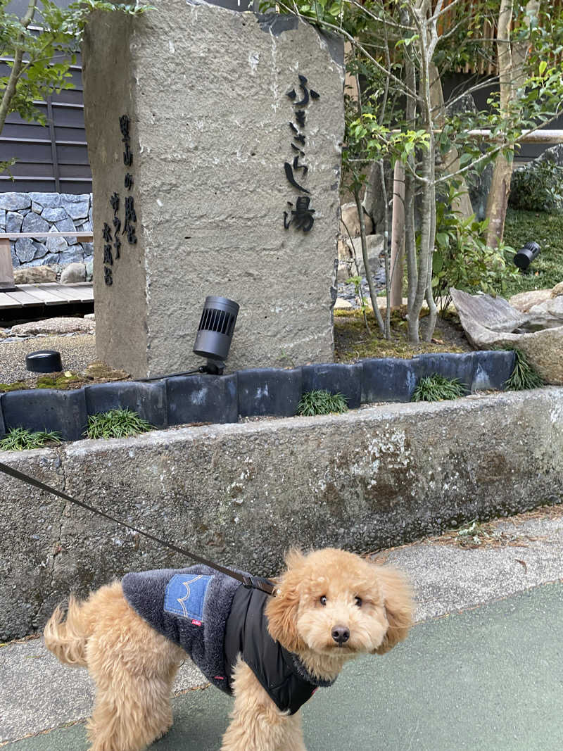 脳ミソからヨダレさんのふきさらし湯のサ活写真