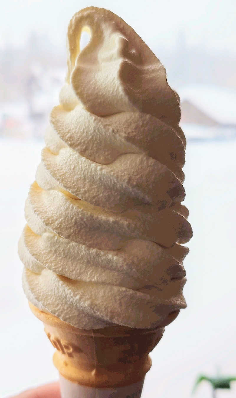 たまにサウナーさんの吹上温泉保養センター 白銀荘のサ活写真