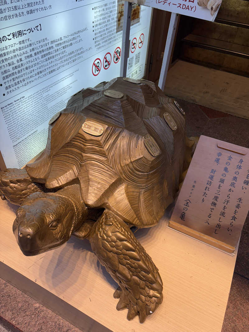 M.Kの正直サウナ感想日記🐣さんの生姜サウナ 金の亀のサ活写真