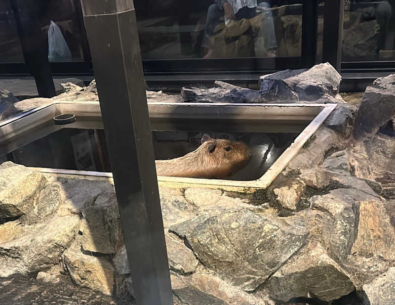 おいもさんの石狩天然温泉 番屋の湯のサ活写真