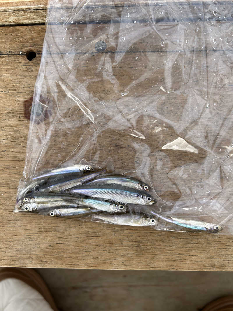 おいもさんのしんしのつ温泉 たっぷの湯のサ活写真