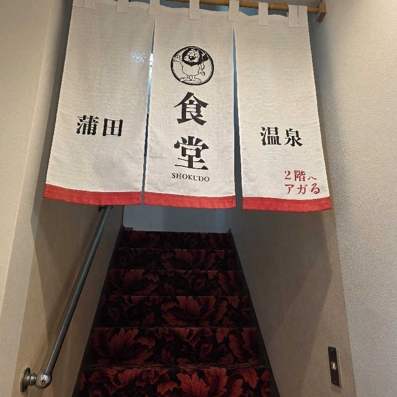 yoneyama_1985さんの蒲田温泉のサ活写真