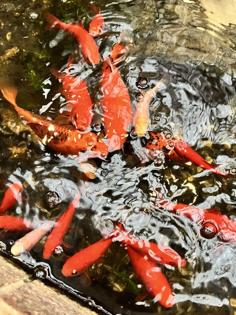 旅するサ活薬剤師💊さんの癒しの里 さらい 湯の華のサ活写真