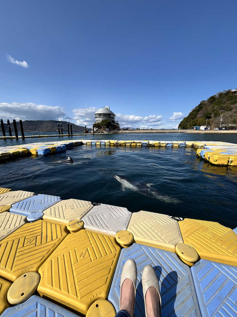 旅するサ活薬剤師💊さんの絹島温泉 ベッセルおおちの湯のサ活写真