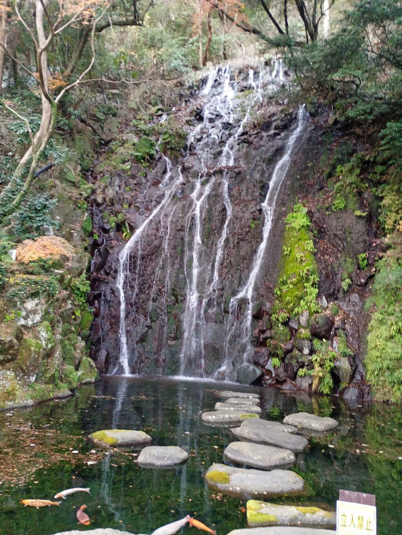 とおるさんの箱根湯本温泉 天成園のサ活写真