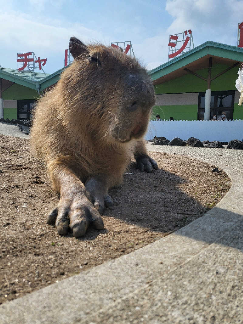 イトシマサウノスケさんの阿蘇健康火山温泉(阿蘇ファームランド)のサ活写真