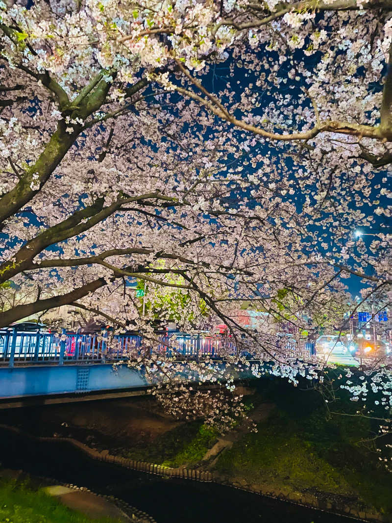 てるてるぼうずさんの港北の湯のサ活写真