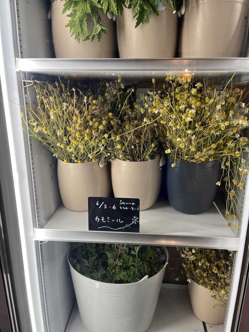 63さんの岐阜各務原 恵みの湯のサ活写真