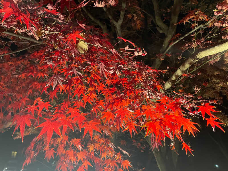 watoさんの筑紫野 天拝の郷のサ活写真