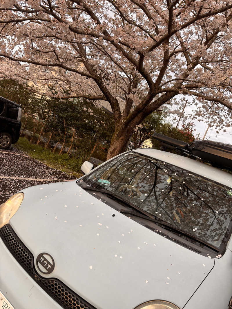 おかやんさんのアウトドアサウナ KULTAのサ活写真
