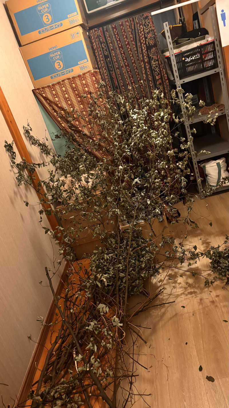 おかやんさんの山賊サウナのサ活写真