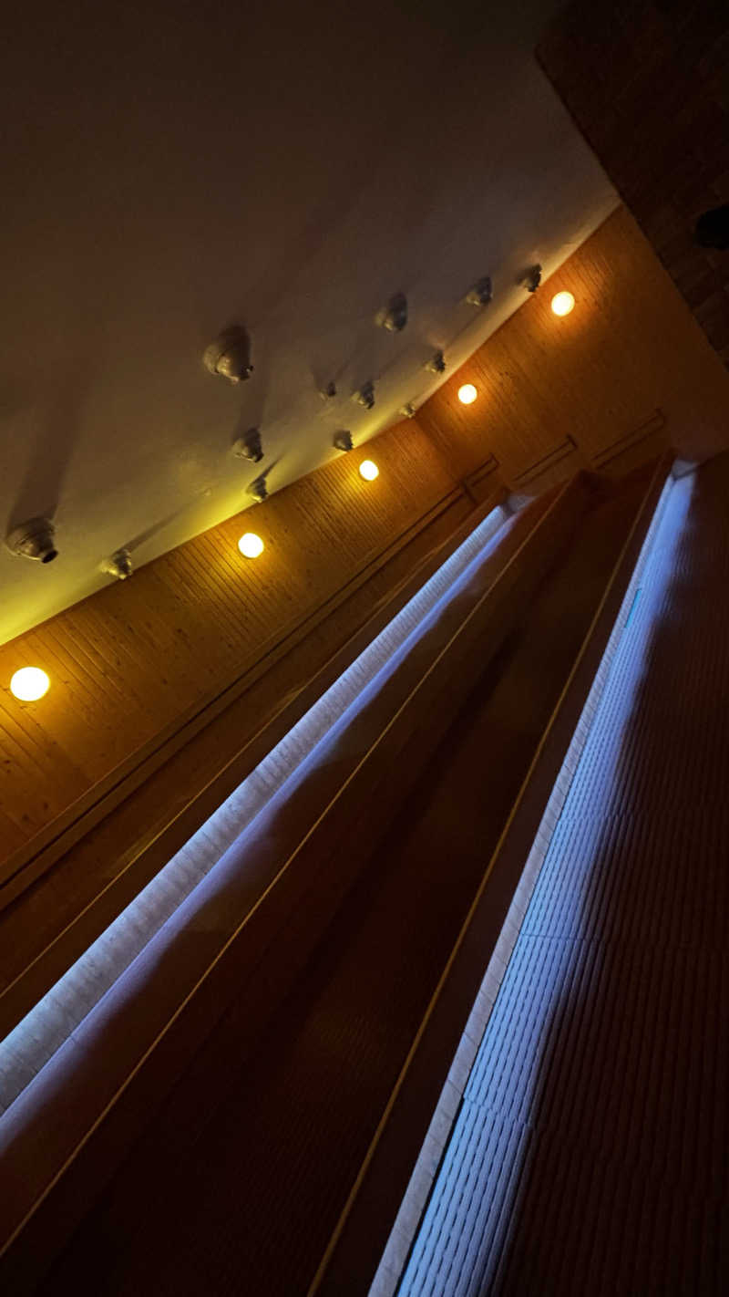 おかやんさんの川中島温泉テルメDOMEのサ活写真