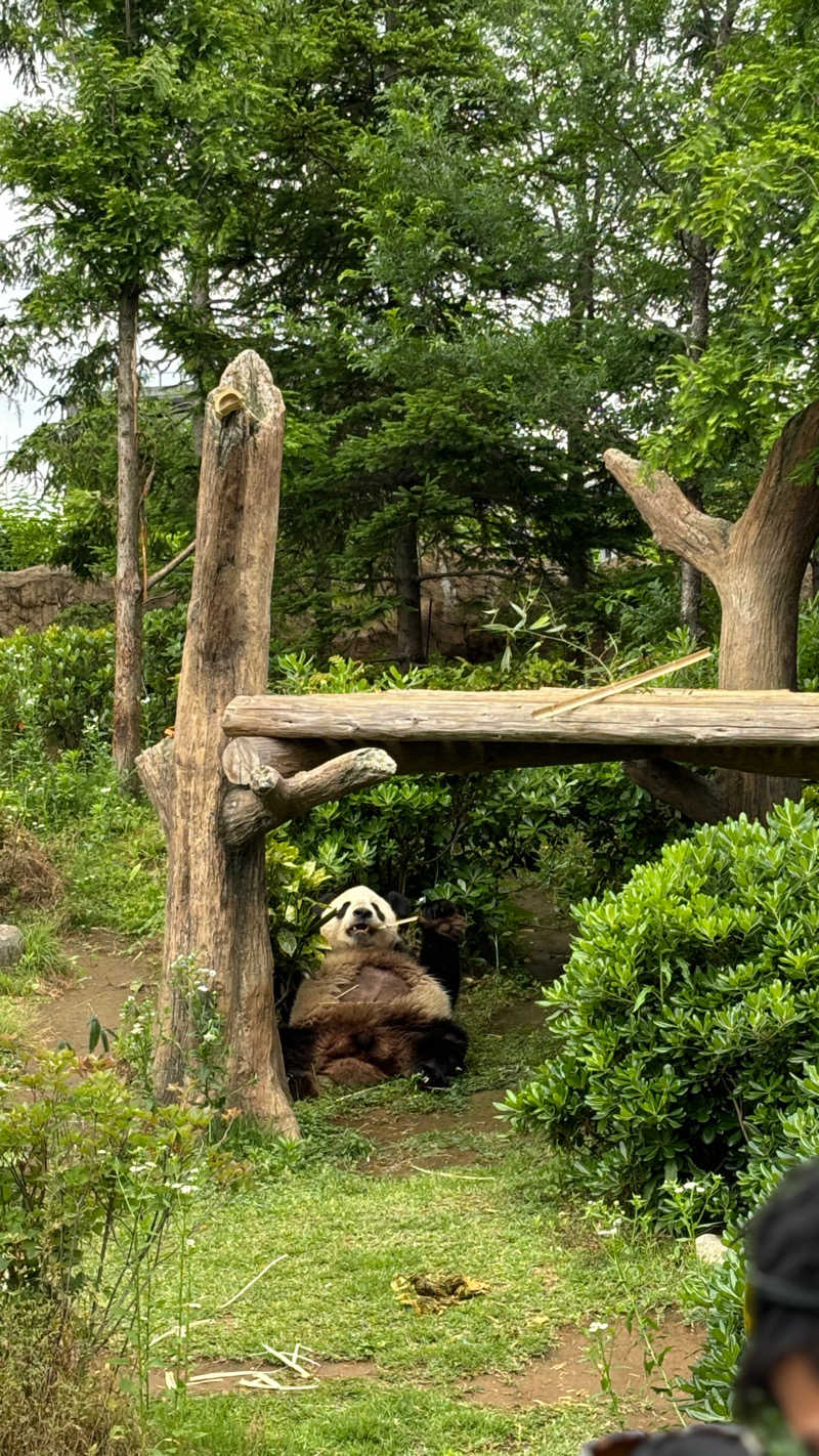 SHIHOさんのサウナリゾートオリエンタル上野 (センチュリオンホテル&スパ上野駅前)のサ活写真