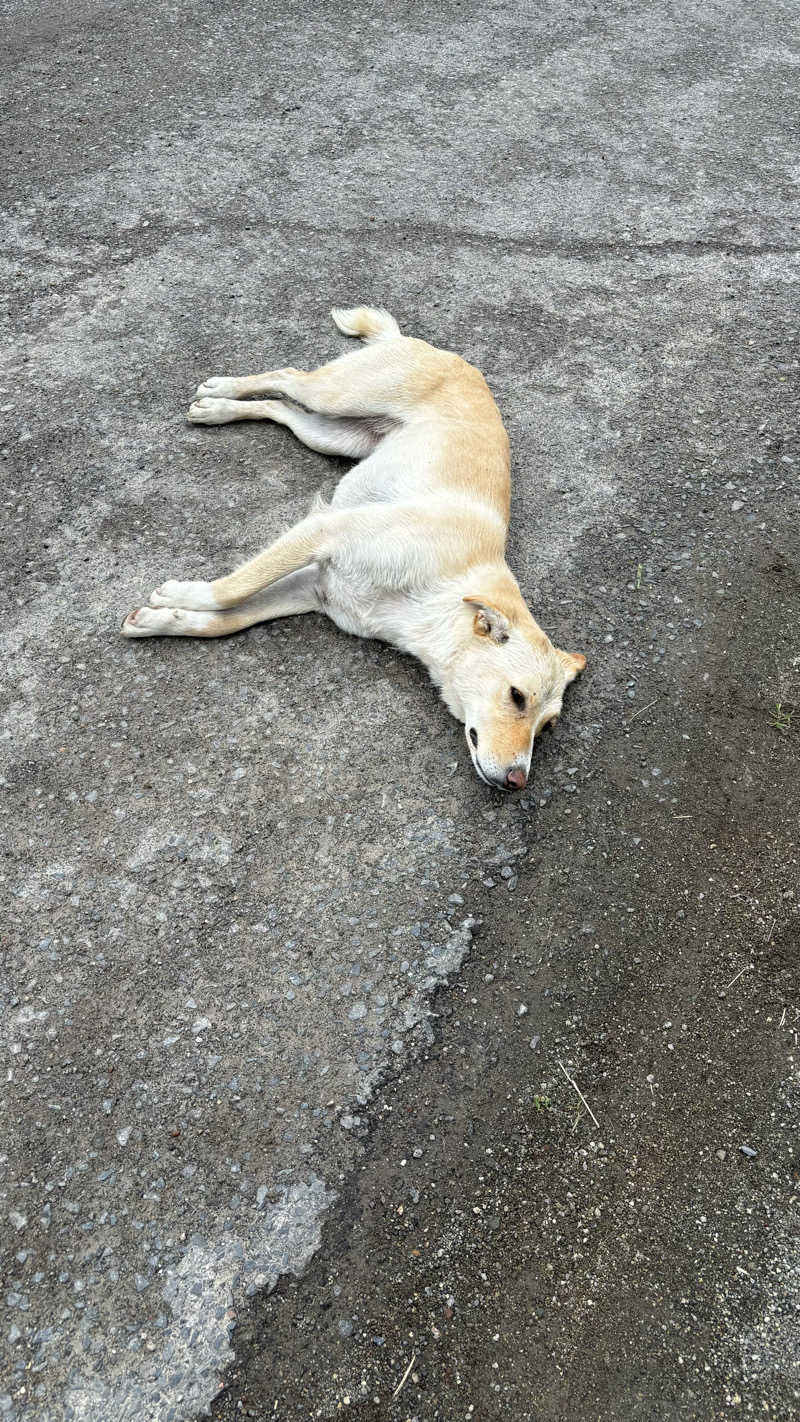 SHIHOさんのクローバーハウス西春別温泉のサ活写真