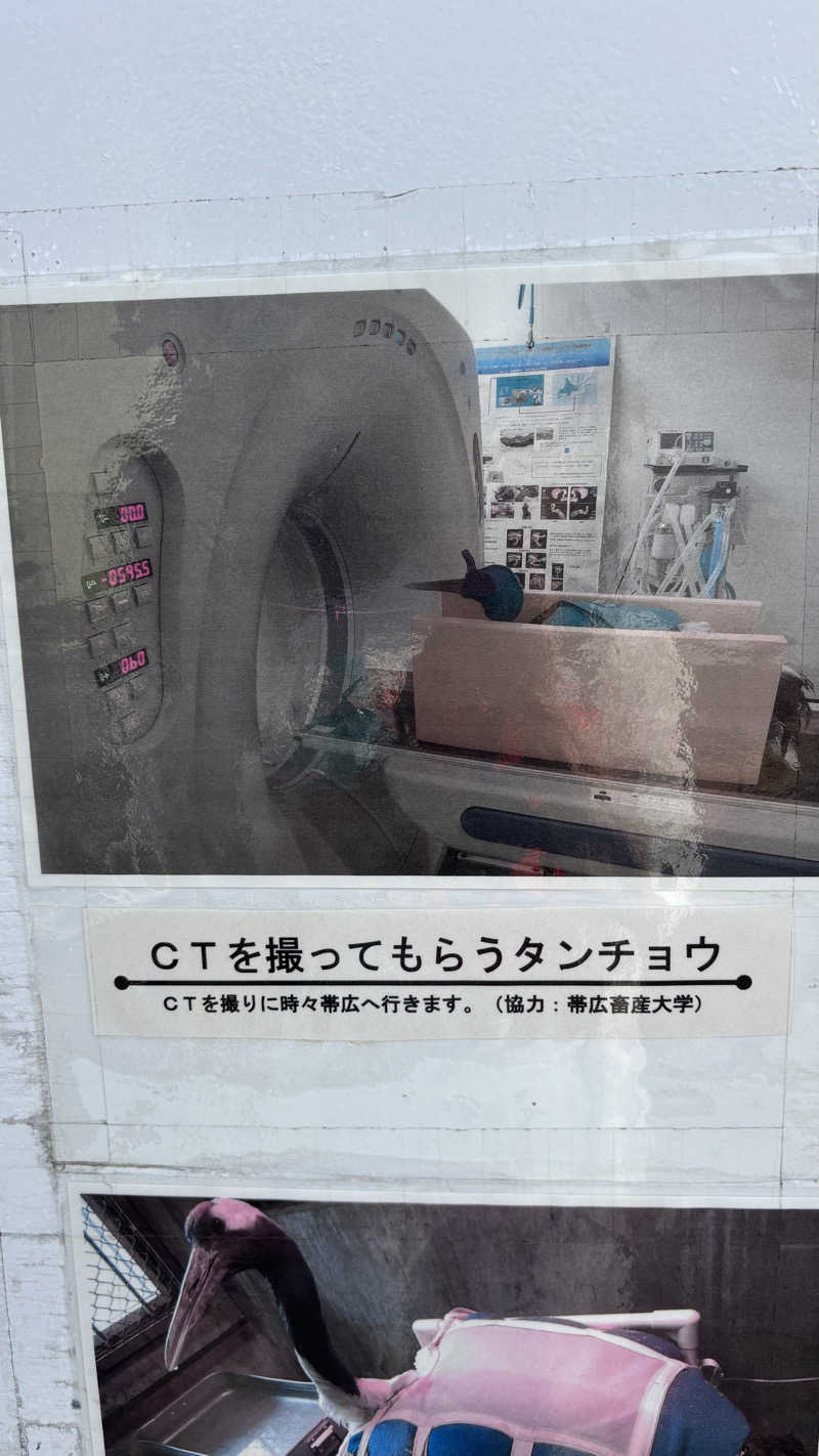 SHIHOさんの山花温泉リフレのサ活写真