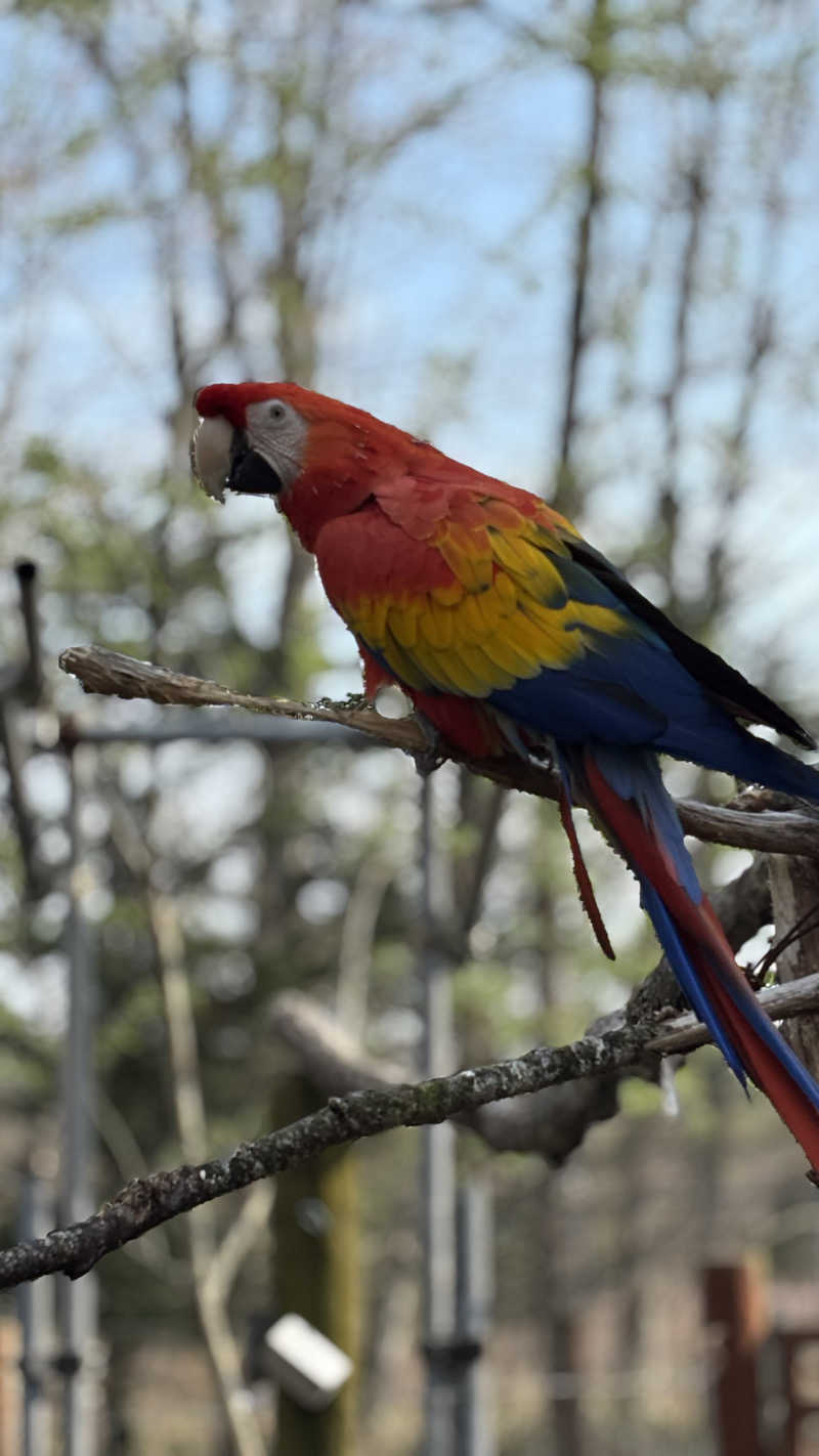 SHIHOさんの山花温泉リフレのサ活写真
