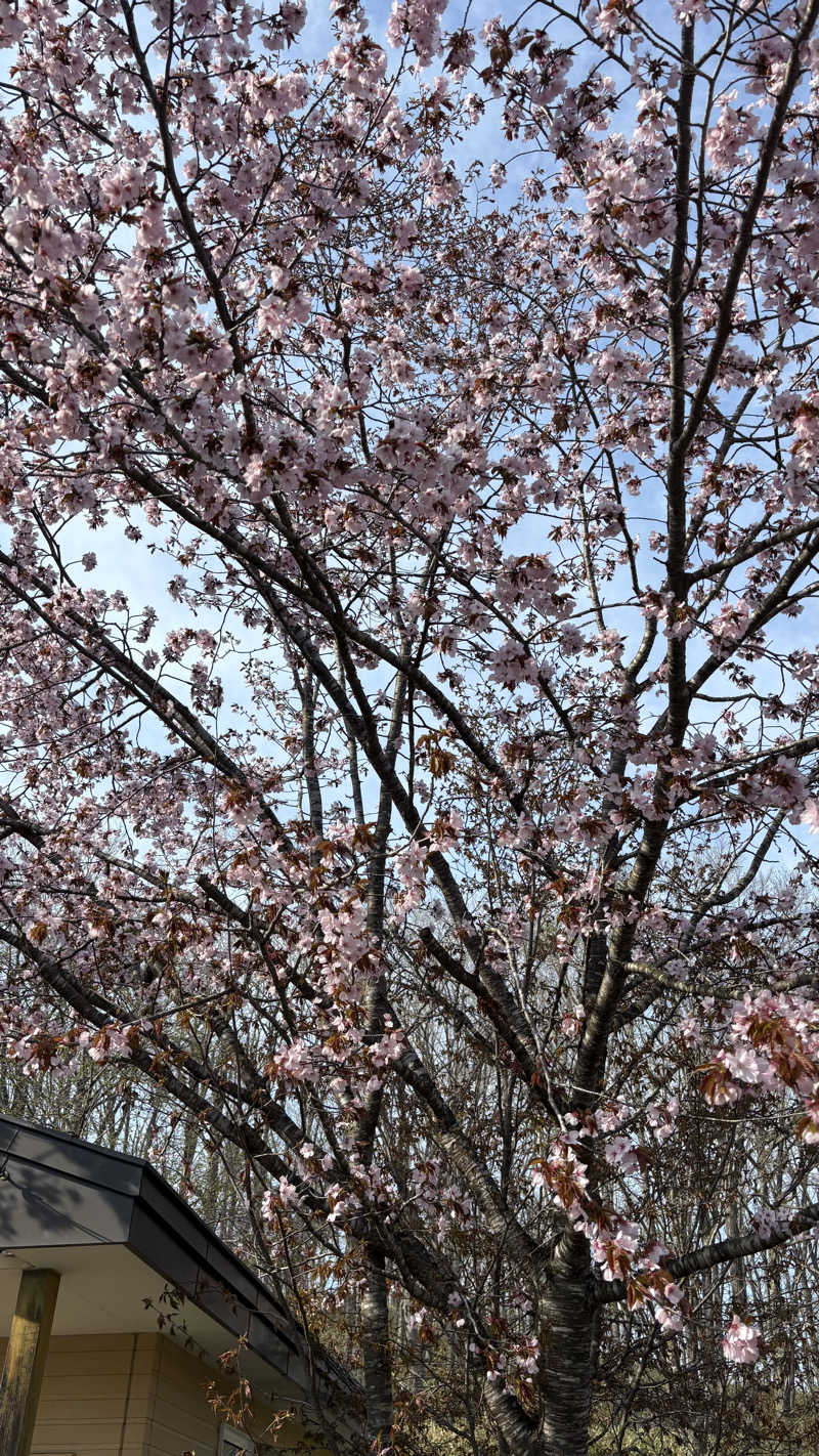 SHIHOさんの山花温泉リフレのサ活写真